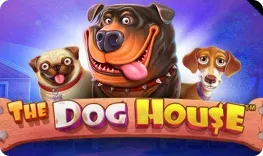 Goldex Casino – The Dog House